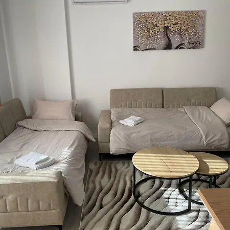 Snowy Apartment Korce